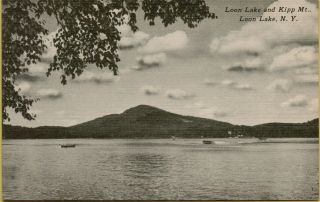 Landscape Shoreline View Boats On Loon Lake & Kipp Mountain Ny Postcard B46