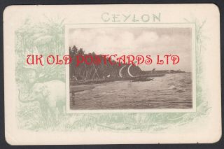 Ceylon - Sailing Boat,  Early Postcard