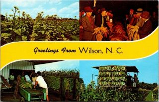 Greetings From Wilson,  Nc Tobacco - Land Field Harvest Conveyor Belt