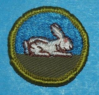 Rabbit Raising Type F Merit Badge - Boy Scouts - 8111