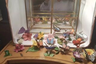 Franklin Porcelain Butterflies Of The World 14 W/ Display Case