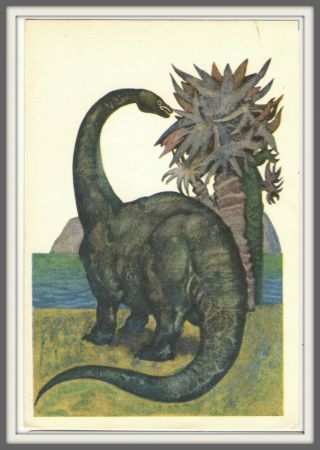 1969 Dinosaur Diplodocus Extinct Animal Paleontology Art Soviet Vintage Postcard