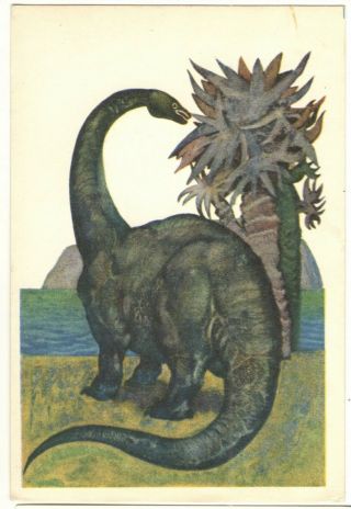 1969 DINOSAUR Diplodocus Extinct animal Paleontology Art Soviet vintage Postcard 2