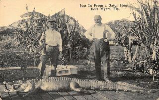 Fl - 1911 Very Rare Florida Alligator Hunt - Man With Rifle At Ft.  Myers,  Fla