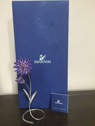 Swarovski Crystal Flower Drina Violet W/ Box And Cert,  957578