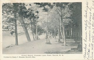 Salem Nh – Canobie Lake Park Picnic Grove – Udb – 1906