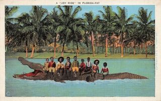 Joy Ride Fla F27 Nine African American Children Sitting On Alligator Racist
