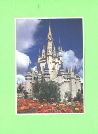 Oo Card Image Walt Disney Photo Print Cinderella Castle