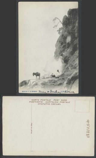 North Korea Old Postcard Botandai Heijo Pyongyang Wall,  Donkey Mule,  2 Men