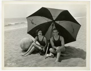 Joan Crawford & Douglas Fairbanks Jr.  W/ Boxer Dog Vintage 1929 Beach Photograph