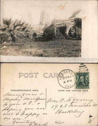 Rppc Los Gatos,  Ca Buggy,  Palms,  Home Santa Clara County California Postcard