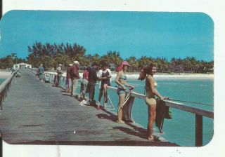 Pretty Girls In Bikinis At Naples On The Gulf Florida Vintage Postcard