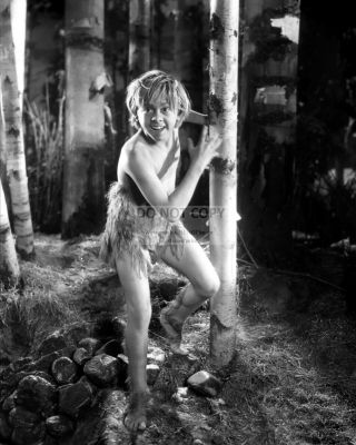 Mickey Rooney In " A Midsummer Night 