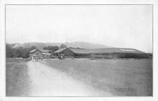 Boyes Hot Springs Swimming Tank & Baths Sonoma County Ca C1910s Vintage Postcard