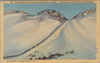 (m650) Vintage Color Postcard,  Over Chilkoot Pass During Gold Rush,  Alaska