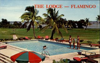 Lodge At Flamingo Everglades National Park Florida Fl Swimming Pool 1950s