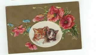Antique 1908 Cat Kitten Embossed Post Card Gold Foil Flowers & 2 Cute Cat Faces