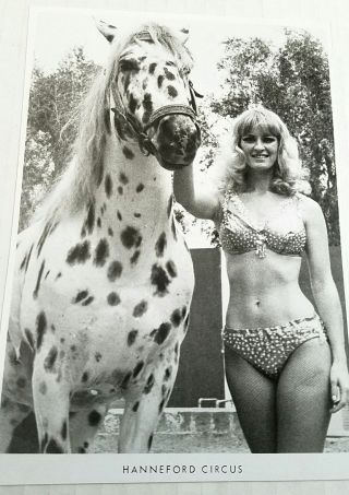Vintage Hanneford Circus Horse Pony And Showgirl Performer