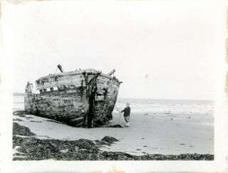 Vintage B/w Photo Of An Old,  Decrepit Ship Washed Ashore - " Land,  Ho "