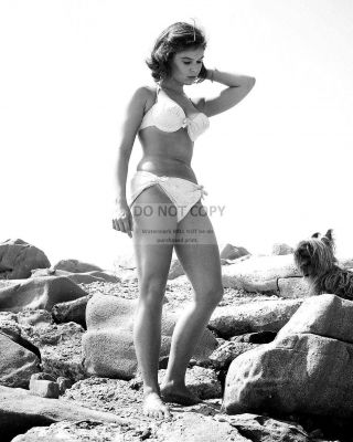 Actress Yvonne Craig Pin Up - 8x10 Publicity Photo (fb - 161)