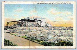 Crisfield Maryland Md 1 Million Bushels Of Oyster Shells Curteich Linen Postcard