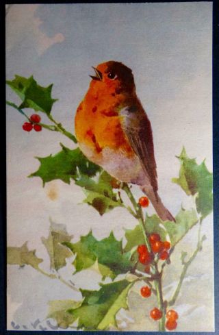 Postcard Artist Signed C Klein (catherine) Bird On Holly Branch Switzerland