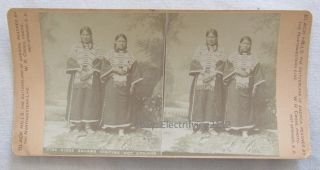 Pine Ridge Squaws Native American Indian Stereoview Wr Cross 1880s South Dakota