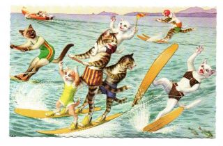Alfred Mainzer Cat Postcard 4972 Dressed Cats Water Skiing