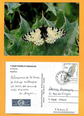 Saint Pierre And Miquelon Postcard Butterfly Stamp Butterfly