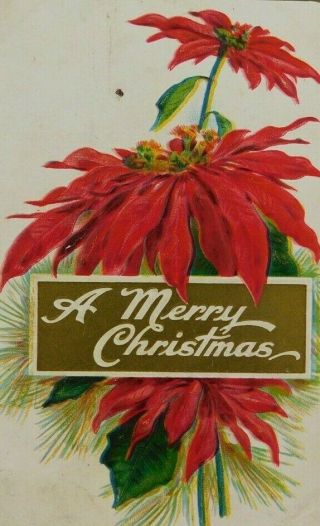 A Merry Christmas Red Poinsettia Written On Posted Divided Back Vintage Postcard