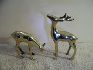Two Brass Deer Figurines Buck And Doe