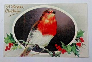 Antique Embossed 1907 - 15 " A Happy Christmas " Bird On Holly Branch Berries Pc