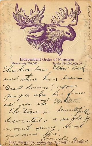 Private Mailing Card Embossed Moose - Independent Order Of Foresters - 1909