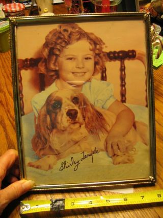 Shirley Temple With Dog Signed Photograph Print 8 X 10 In Frame L00k