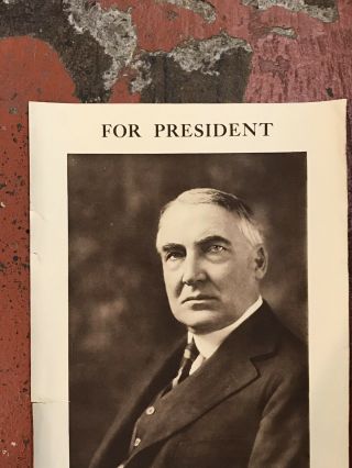 Warren Harding for President Campaign Poster 6
