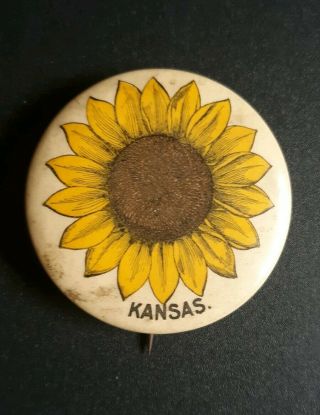 Kansas Sunflower Vintage Pinback Button Whitehead And Hoag Co 1896