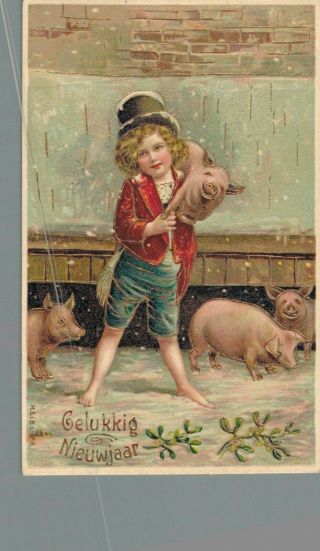 Happy Year Embossed Vintage Postcard Boy With Pigs 02.  30