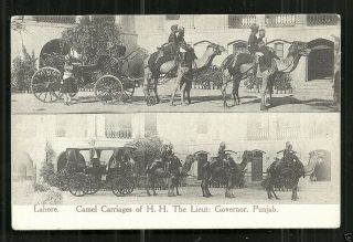 Lahore Camel Carriages Of The Governor Punjab Pakistan 1899