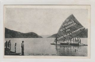 Vintage Postcard Dr Sheldon Discovery Tonga