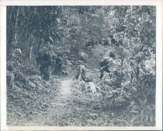 1942 Press Photo Military Ww2 Guinea Troops Jungle Patrol Army Field 7x9