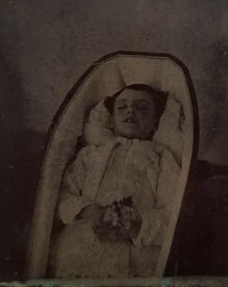 Post Mortem Tintype Antique Tin Death Photo Dead Child In Coffin With Flowers