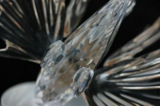 Retired Signed Swarovski Austrian Crystal Lion Fish 7644 Art Glass Figurine SMS 5
