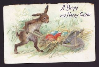 Old Vintage Raphael Tuck Easter Postcard Of Rabbit And Eggs