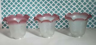 Vianne French Glass Floral Etched Frosted To Cranberry Tulip Shades Set 3