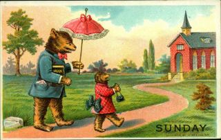 1907 Full Set Of 7 " Days Of The Week " Embossed Bear Postcards By Wm S Heal