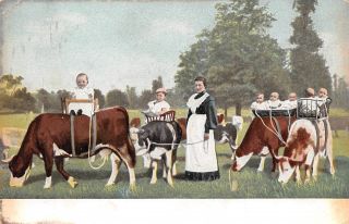 C21 - 8262,  Maid With Cows And Babies.  Postcard.