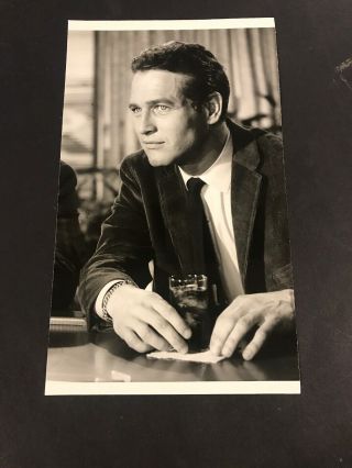 Paul Newman 4 3/4” X 8” Photo 1960’s Movie A Kind Of Love