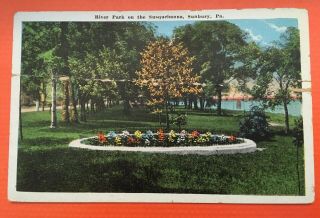 Vintage Postcard River Park On The Susquehanna,  Sunbury,  Pa Pennsylvania White B