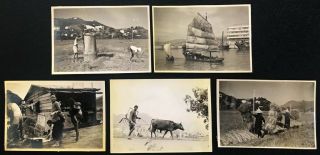 5 Old Vintage Photographs View Of Chinese Hong Kong,  Sailboat,  Farmer