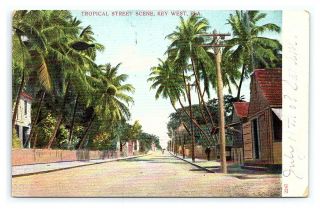 Vintage Postcard Tropical Street Scene Key West Florida 1908 J4